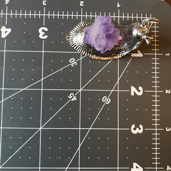 Amethyst Snail - Picture 4 of 7